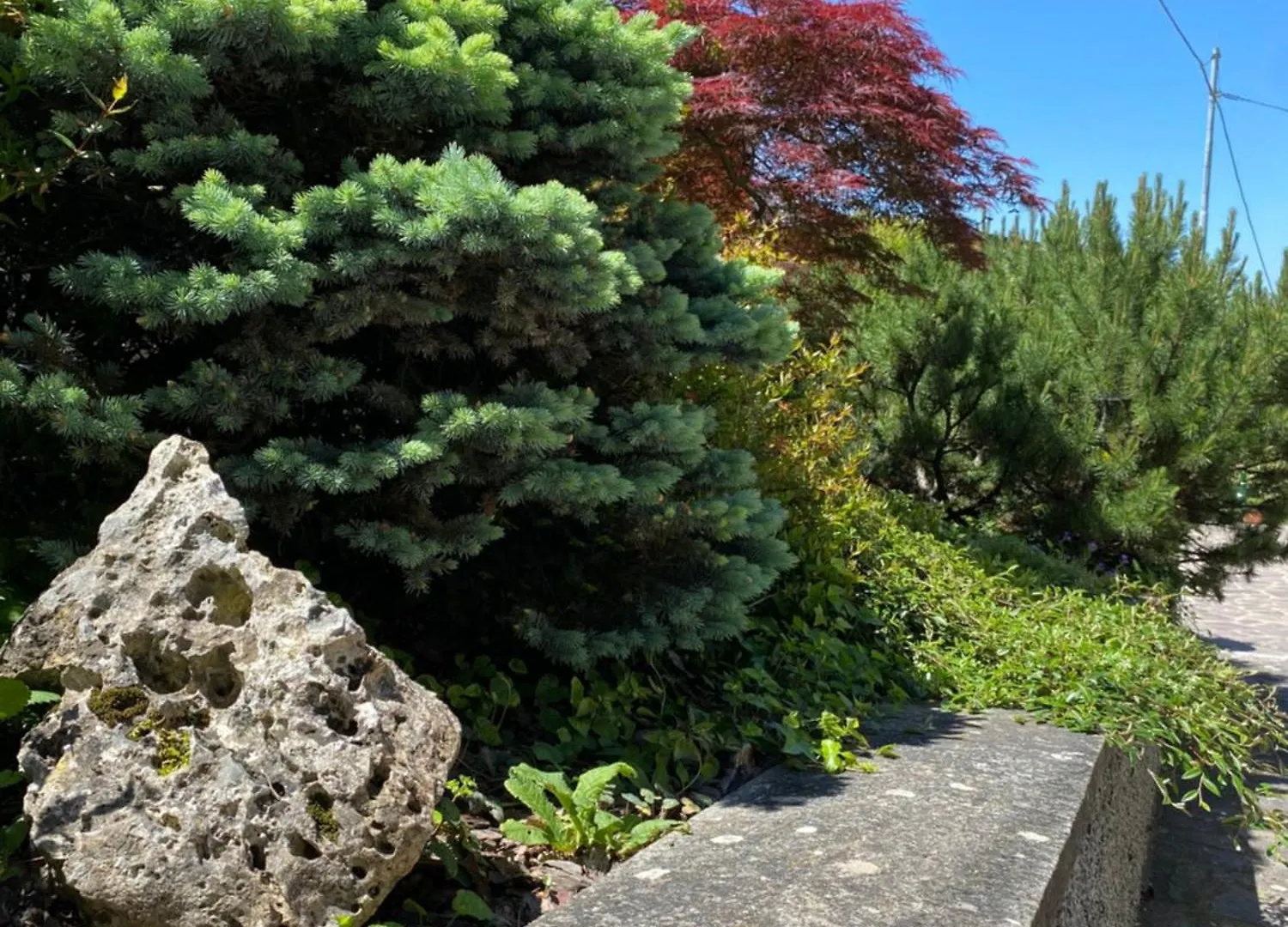 Holiday home Mons Umbrarius Villa Monteombraro